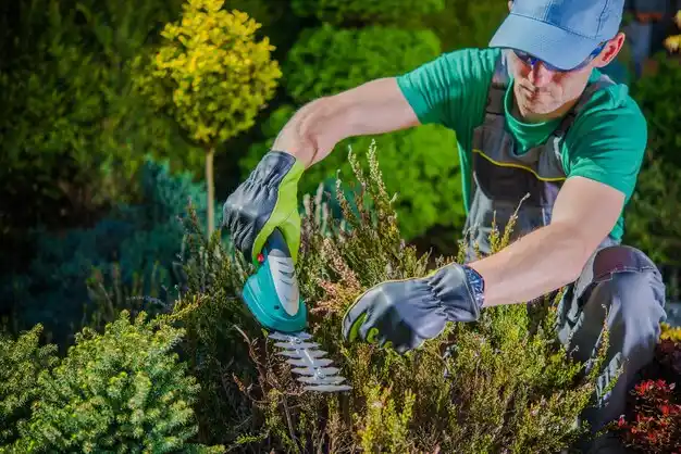 landscaping services Roscoe